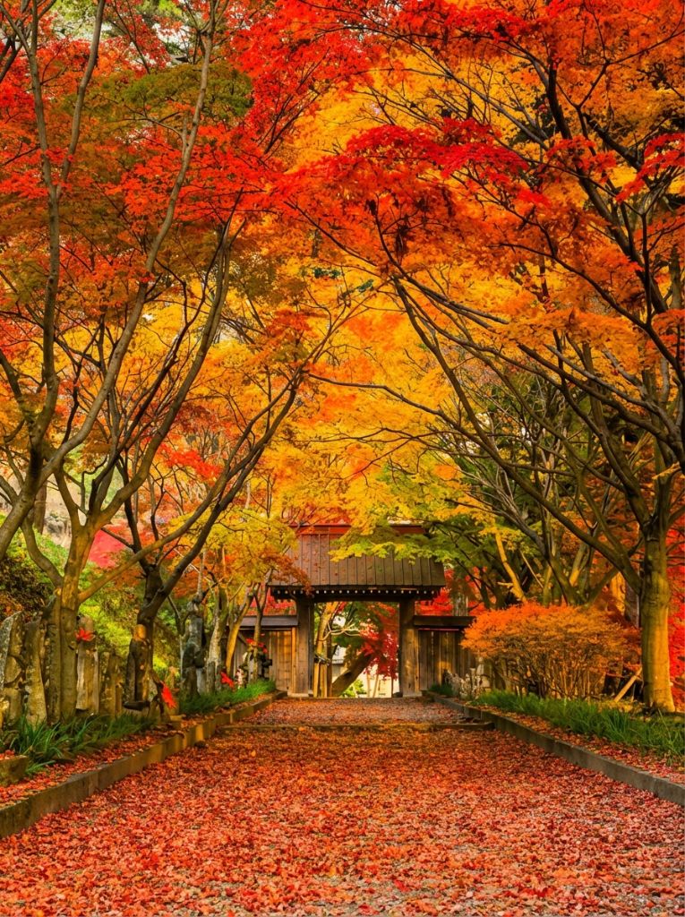 観光パックサービス